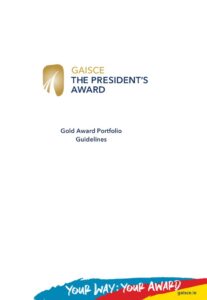 Portfolio Requirements (Gold Participants)
